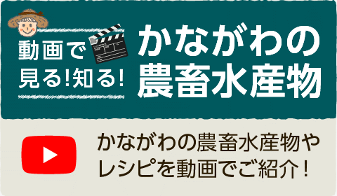 動画で見る!知る!かながわの農畜水産物