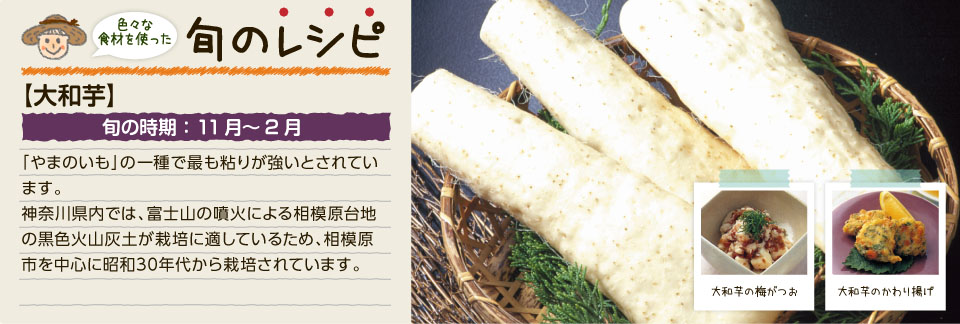 旬のレシピ(大和芋)