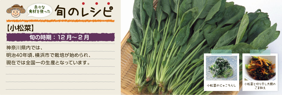 旬のレシピ(小松菜)
