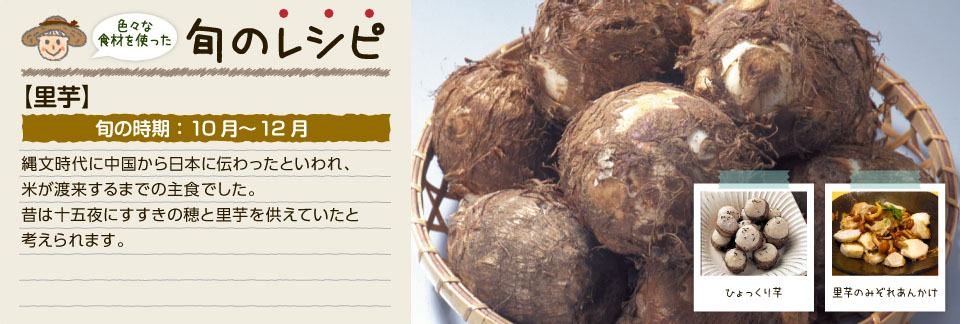 旬のレシピ(里芋)
