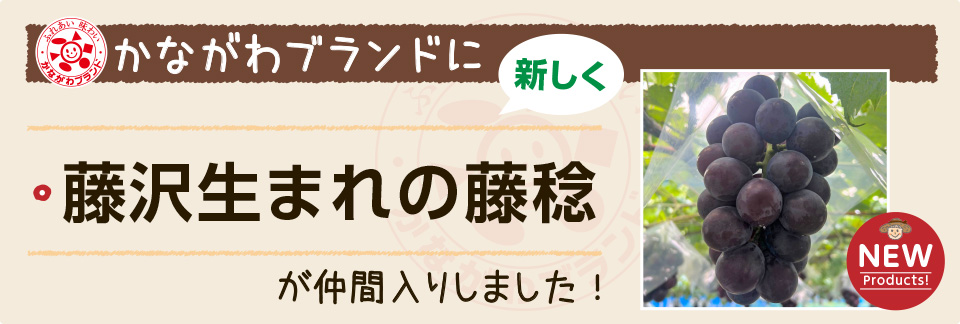 「藤沢生まれの藤稔」を「かながわブランド」に登録