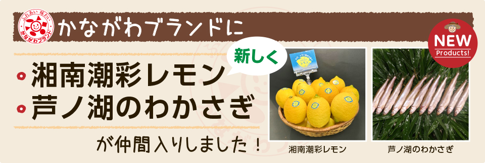 「湘南潮彩レモン」と「芦ノ湖のわかさぎ」を「かながわブランド」に登録