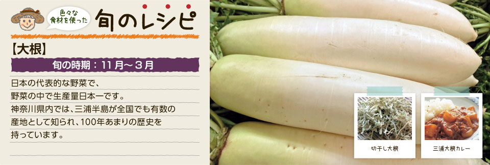 旬のレシピ(大根)